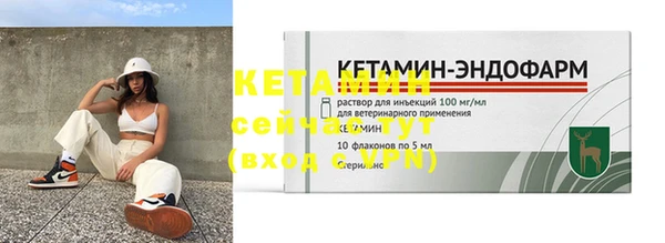 крисы Ельня