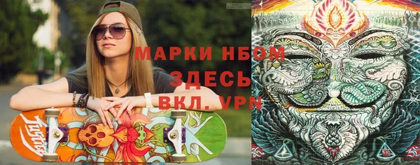 крисы Ельня