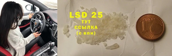 крисы Ельня