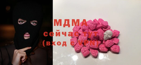 крисы Ельня