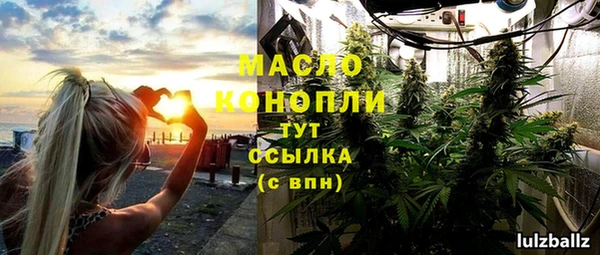 крисы Ельня