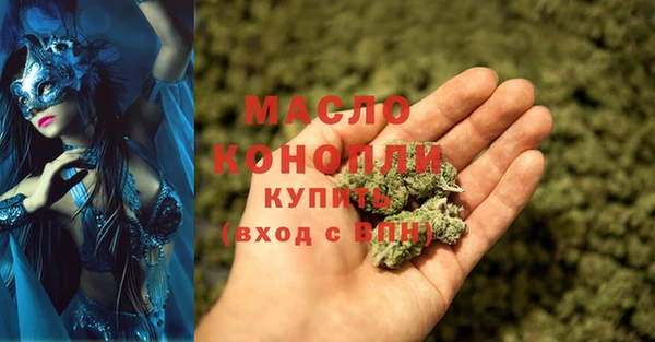 крисы Ельня