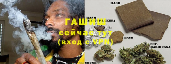 крисы Ельня