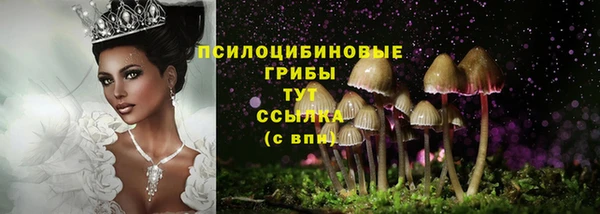 СК Елабуга