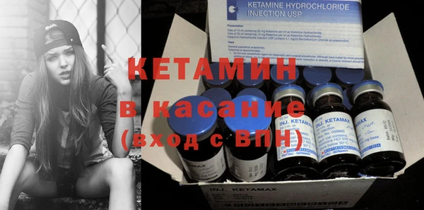 крисы Ельня